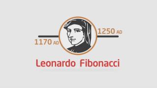 Fibonacci trading strategy forex for beginners