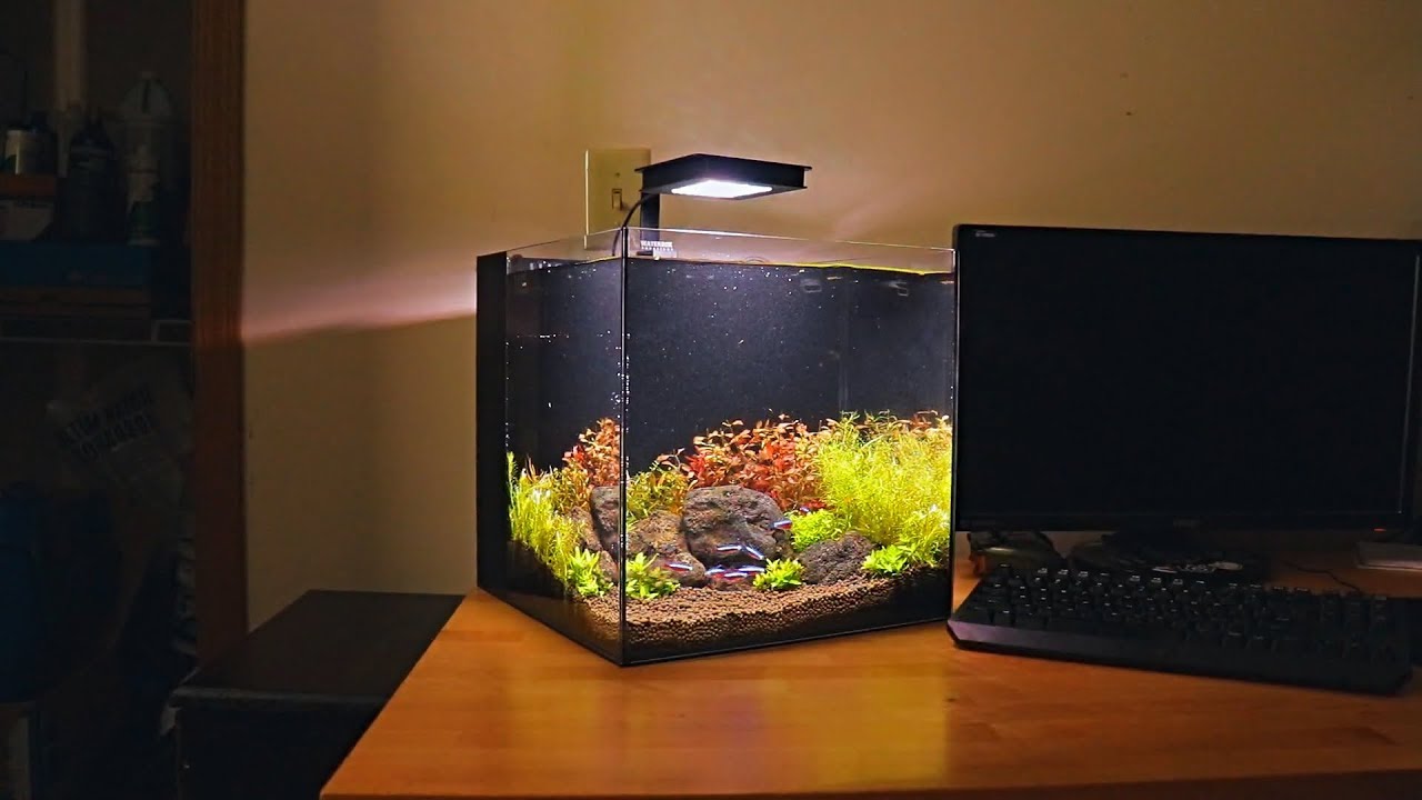 WaterBox Cube 10 All In One Maintenance! - YouTube
