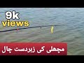 Gulfam گلفام ki zabardast chaal or hook | Mangla dam fishing 2021