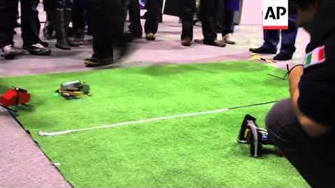 Prototype robots fight, wrestle and race