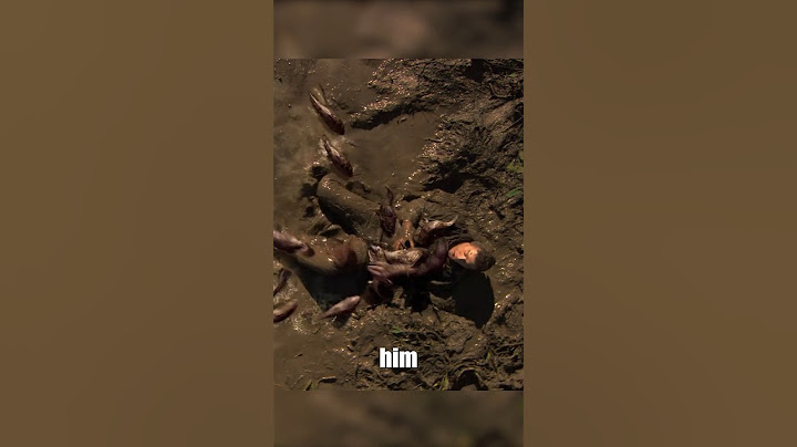 Terrifying Piranha Surprises in River, Goes Wild at the Sight of Humans #movie #futurelink