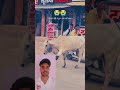 🫂प्लीज़ इनकी रक्षा💯 करो भगवान 😭😭🙏#emtionalstory #emotional #sad #cow 🫂