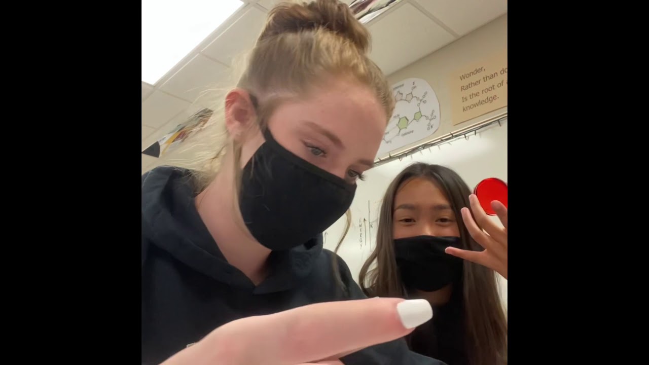 Addison Applegate Pineapple Biology Lab w/ ADDISON APPLEGATE - YouTube