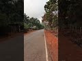 Village view 🍂⛅#villagelife #nisarga #villagevlog #viral #viralvideo #viralshorts