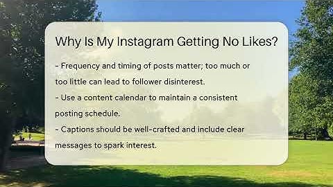 Why Is My Instagram Getting No Likes? - Everyday-Networking