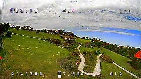 Emax Tinyhawk II Freestyle DVR