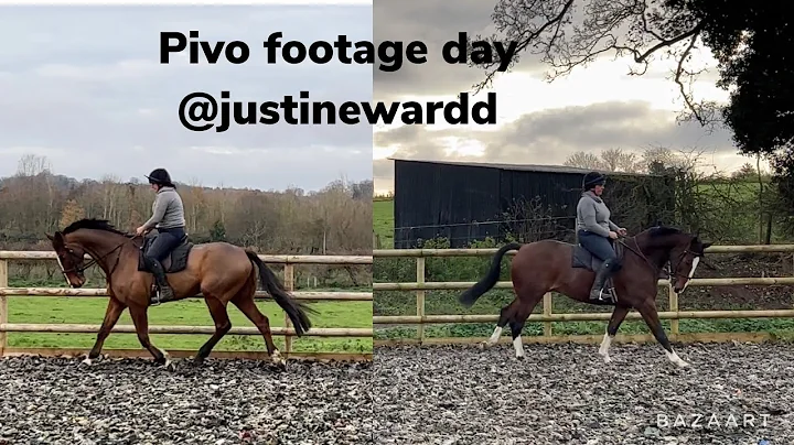 Schooling session for three of the horses