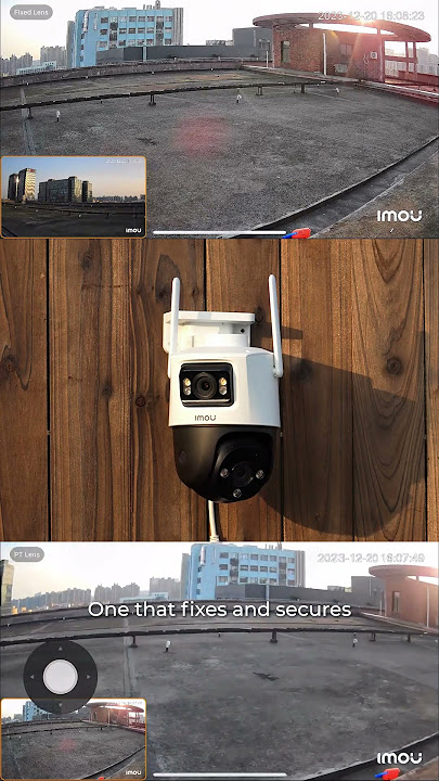 Imou Cruiser dual