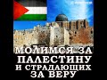 Молитва за Палестину и страдающих за Веру. Алексей Казак поздравил мусульман с Ураза-байрам