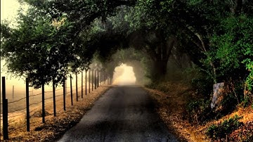 سوره الملك المنجيه من عذاب القبر بصوت ماهر المعيقلي