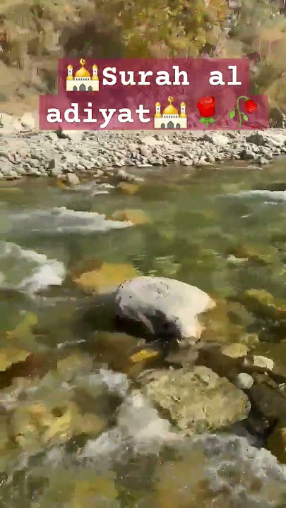 surah al adiyat||quraan#tilawat#islamic faith#quraanchapter#parah 30#egzonibrahimi #yt shorts