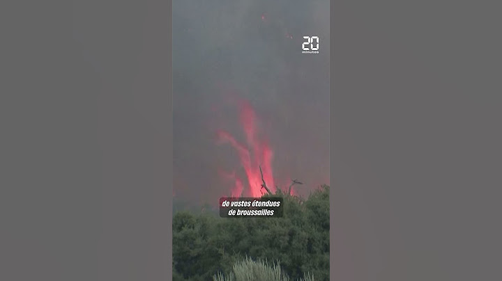 Etats-Unis : Un terrible incendie ravage la Californie, annonçant un été à risques #shorts