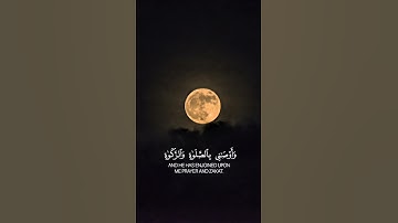 تلاوة رائعة من سورة مريم للقارئ الشيخ محمود خليل الحصري رحمه الله#الحصري#قرآن#اكسبلور#القرآن_الكريم