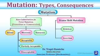 Mutation: Types & Consequences | Molecular Biology | Biochemistry | N'JOY Biochemistry