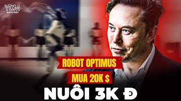 OPTIMUS BIẾT CHẠY: Giá Ngang Ô Tô - Nhưng "Nuôi" Rẻ Hơn Trà Đá? | YouthYDM