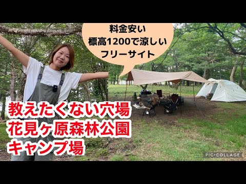 【群馬】花見ヶ原森林公園キャンプ場｜安い！標高高くて涼しい！ワイルドなフリーサイト