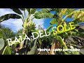 BAIA DEL SOLE - Ferienanlage nahe Tropea - persönliche Bewertung