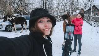 VLOG: КОННАЯ прогулка / Распаковка Shein / Кормление лошадей / Стрижка Хардина