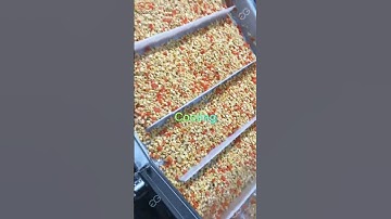 Efficient Vegetable Dicing Production Line | Automated Processing Improves Production Efficiency