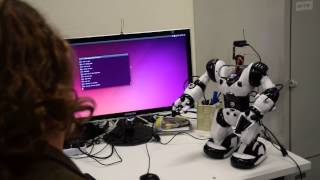 robosapien robot opencog 005