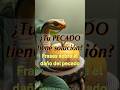 Conoce estas Frases sobre el peligro del pecado #shorts