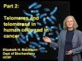 Elizabeth Blackburn (UCSF) Part 2: Telomeres and Telomerase in Human Stem Cells and in Cancer