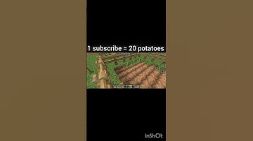 This is day 25 of planting 20 potatoes for each subscribers I have || #minecraft #shorts