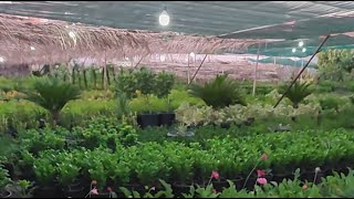 مشتل الحطاب بث مباشر بدأت قناة "عالم الزراعة والنباتات المنزلية" بثًا مباشرًا