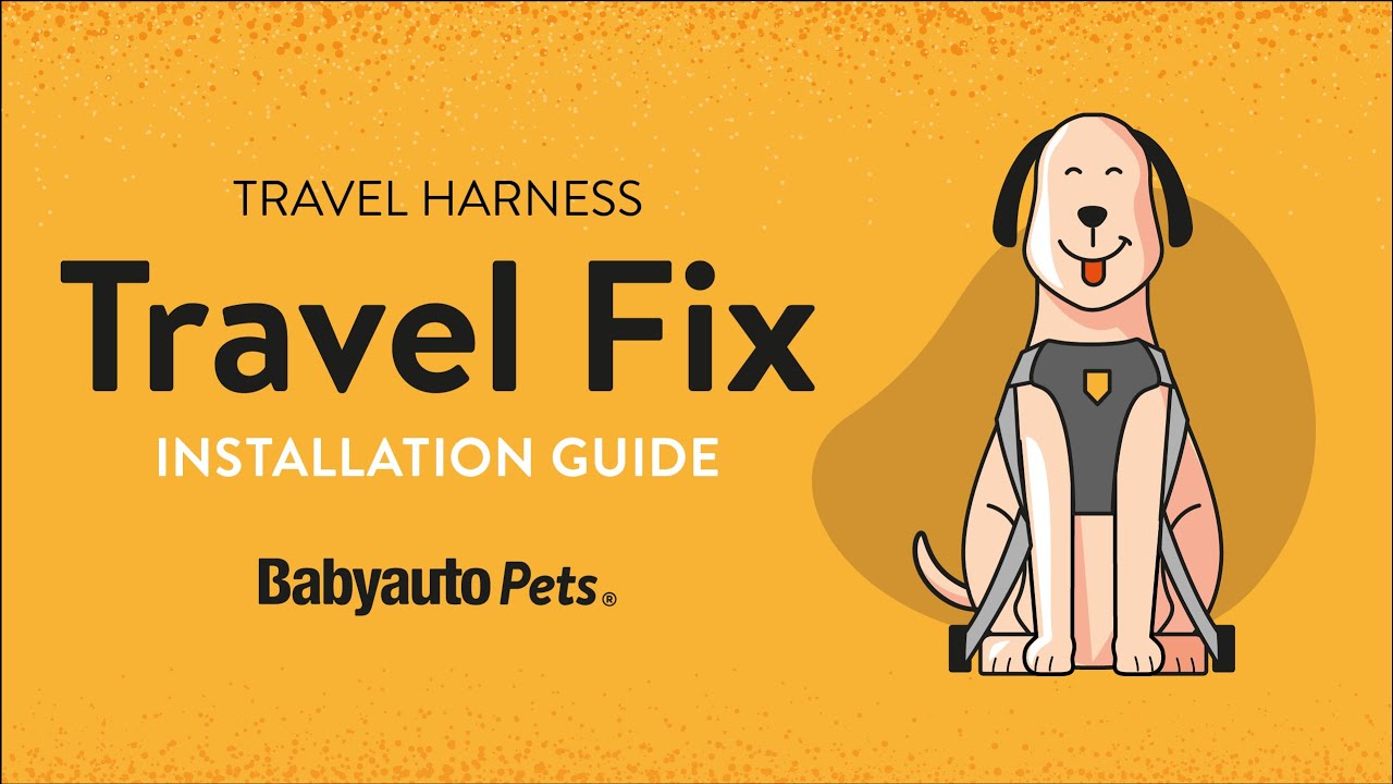 INSTALL the ISOFIX HARNESS ON YOUR DOG to ensure GREATER SAFETY while in the car  | Babyauto Pets®