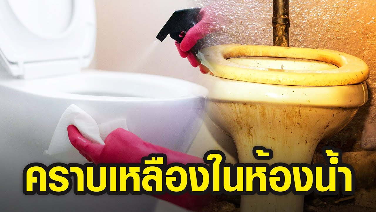 🔴3 เคล็ดลับกำจัดคราบเหลืองๆใน ห้องน้ำ ให้หายเกลี้ยง