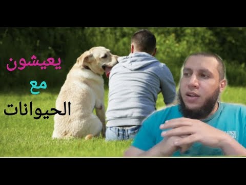 سر حب النساء للكلاب فى أمريكا والدول الغربية