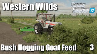 Bush Hogging Goat Feed | Western Wilds #3 | FS22