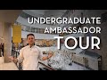 Undergraduate ambassador tour