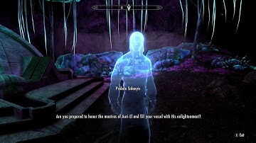 The Elder Scrolls V: Wayshrine of Illumination