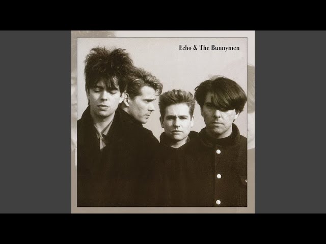 Echo And The Bunnymen - Satellite
