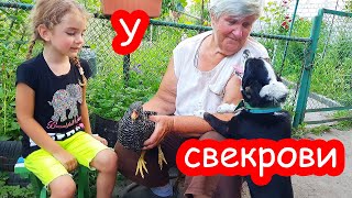 VLOG Мы в гостях у Костиной мамы