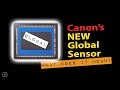 Canon global full frame sensor   coming to your local  discussion what might it mean matt irwin
