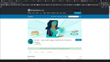 Video Guide - Optimize Wordpress Website, Pages, Images, Loading Speed, Images, Lazy Load with Smush
