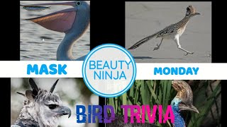 BEAUTY NINJA MASK MONDAY/BIRD TRIVIA #maskmondayfriends #maskmondayladies