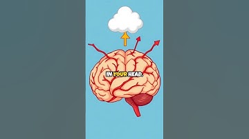 The Science Behind Brain Freeze