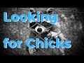 Chicken Predators - Raccoons got my chickens Chicken Predators - Raccoons got my chickens