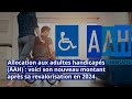 Allocation aux adultes handicaps aah  voici son nouveau montant aprs sa revalorisation en 2024