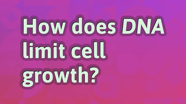 How does DNA limit cell growth?