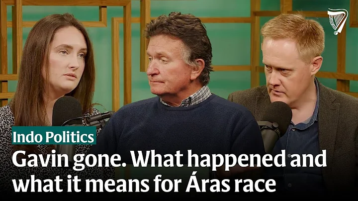 The timeline of Jim Gavin's withdrawal and what it means for the Áras race | Indo Politics