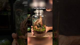 How To Make a Terrarium Inside a Glass Jar!
