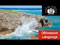 Okinawa Language and Identity: Q2 Japan