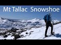 Mt Tallac - Snowshoe Hike - Lake Tahoe