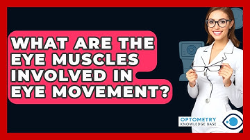 What Are The Eye Muscles Involved In Eye Movement? - Optometry Knowledge Base