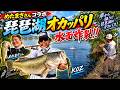 メタマサさん教えてよ！琵琶湖でデカバスを連発させる秘技