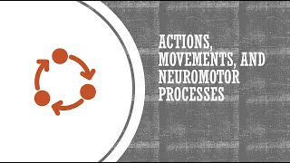 Actions, Movements, and Neuromotor Processes